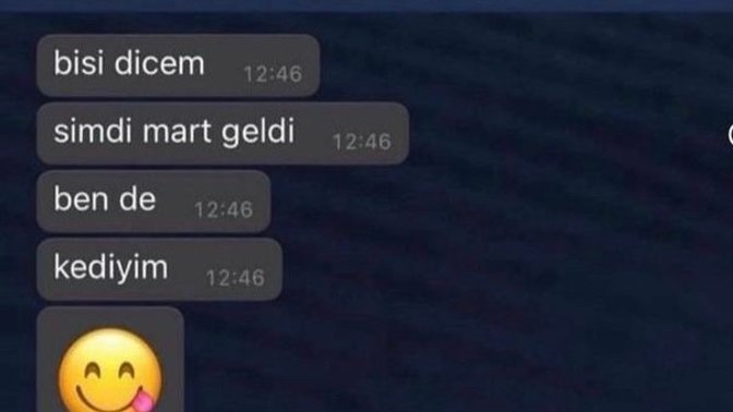 Böyle mesaj atan flörte ne cevap verilir?