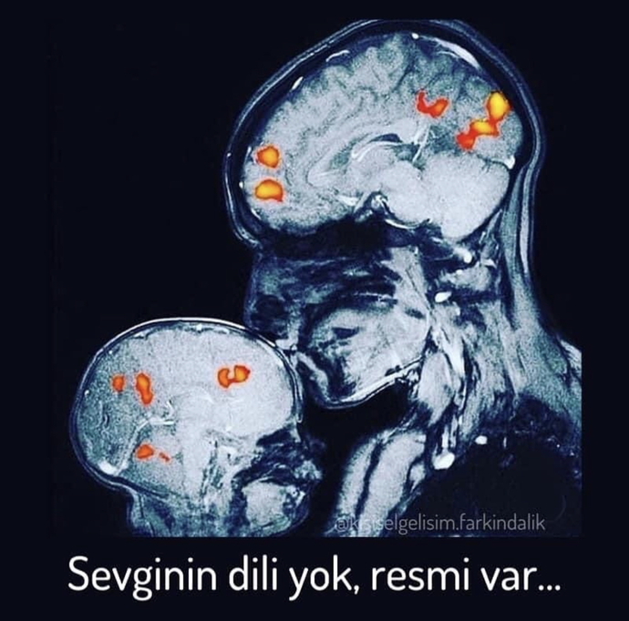 Sevginin dili yok resmî var mıdır?