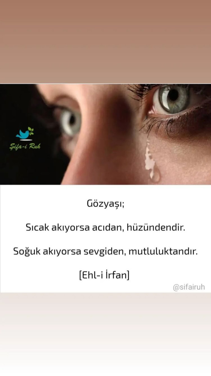 Sizi üzen insanları hayatınızdan kolayca çıkarabiliyor musunuz?