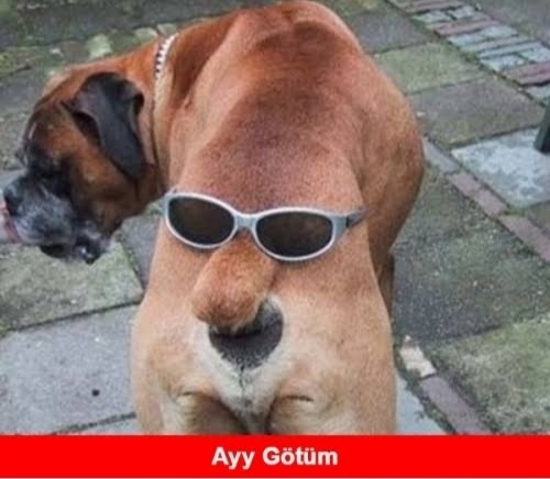 Kadınların istedikleri her erkeği elde edebileceğini düşündüren motivasyon kaynakları nedir?