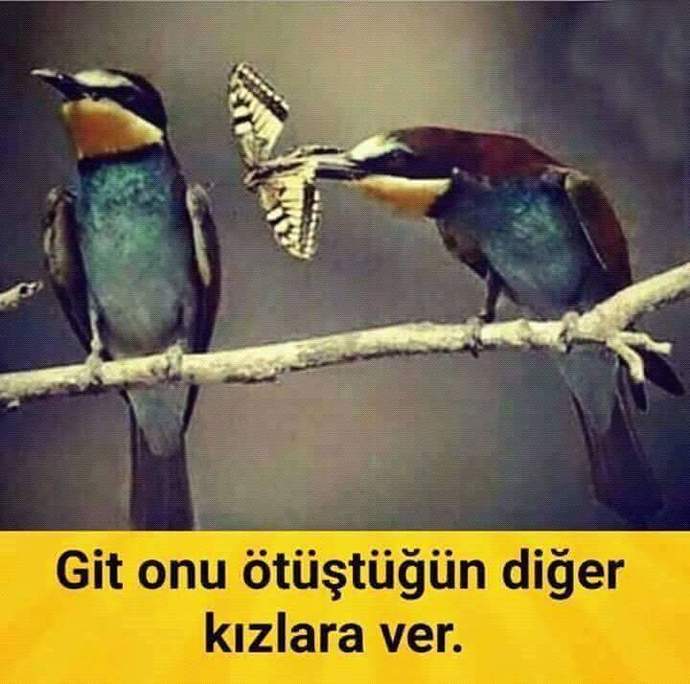 Trip Atmak Kadına Mı Yoksa Erkeğe Mi Yakışır?
