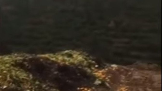 Dünyanın hangi ülkesinde sebze ve meyvenin fiyatını yükseltmek i̇çin piyasadaki fazla ürünleri çöpe döken bir sistem var?