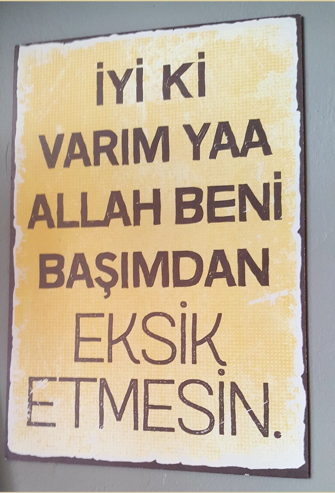 Görseldeki sizce hangi burçtur?