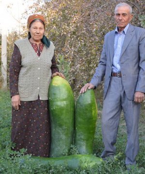 En sevdiğiniz salata hangisi?