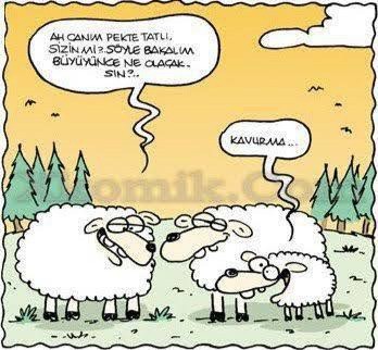 Küçükken ne olmak istiyordunuz, şimdi ne oldunuz?