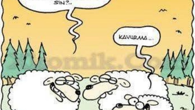 Küçükken ne olmak istiyordunuz, şimdi ne oldunuz?