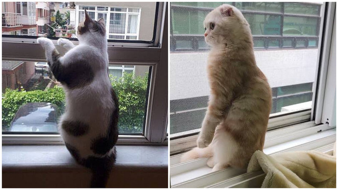 Siz de verdiğiniz siparişleri heyecanla bekliyor musunuz?