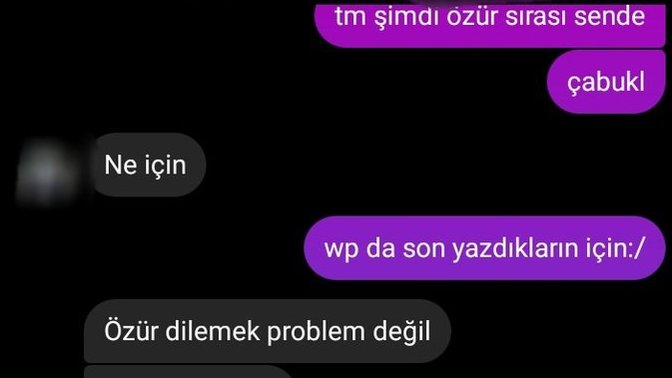 Bi haftadır cevap vermiyodu şimdi de bunu yazmış ben de bi hafta sonra mı cevap veriyim?