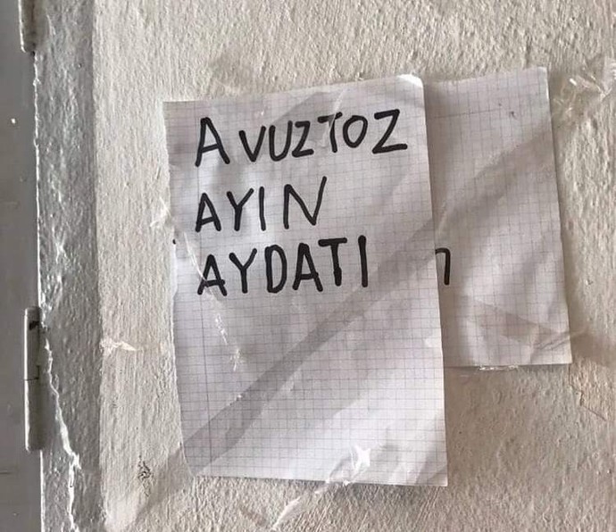 Türkçe yazarken dikkat eder misin?