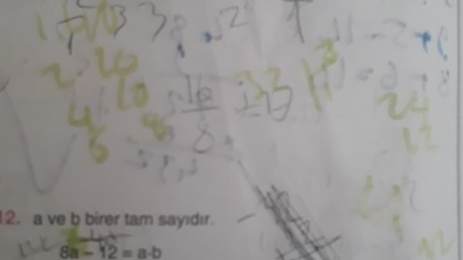 Bu soruyu cozebilirmisiniz arkadaslar?