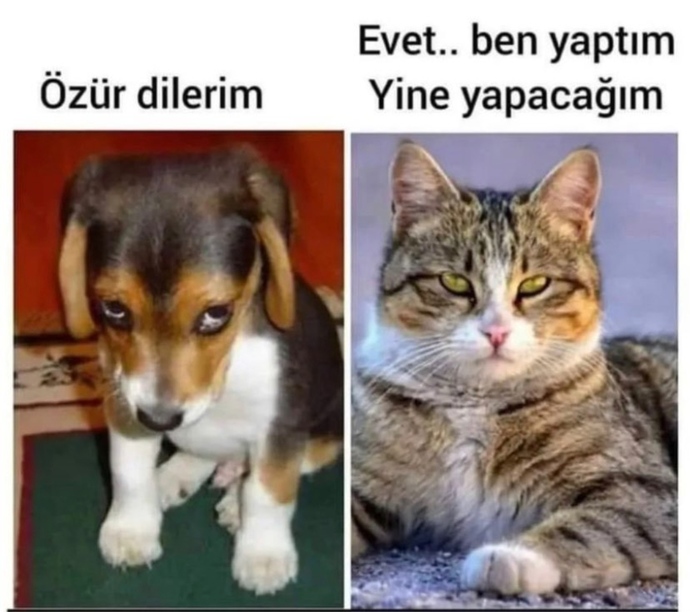 Yaşayan bir ölü olduğunu düşünüyor musun?