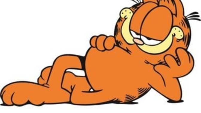 Kilolu olmak mı seni rahatsız eder yoksa çok zayıf olmak mı?