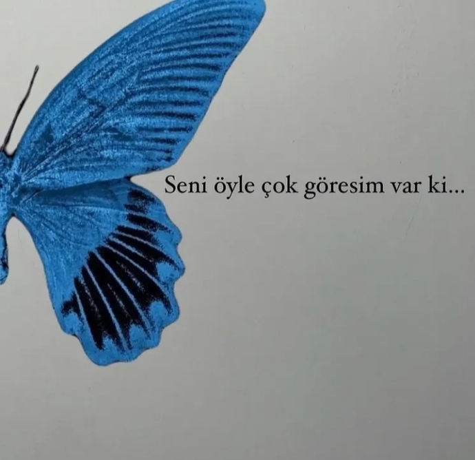 Bu aralar yüzünüzü güldüren seyler var mı🤎?