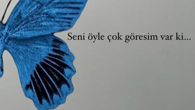 Bu aralar yüzünüzü güldüren seyler var mı🤎?