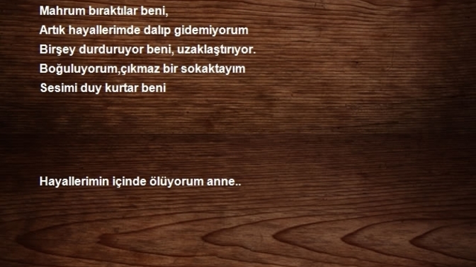 HaYALLER YİNE HÜSRAN OLDUGUN DA DOGACAK GÜNEŞE İNANDINIZ MI?