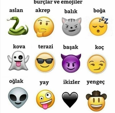 Burcuna göre hangi emojisin?
