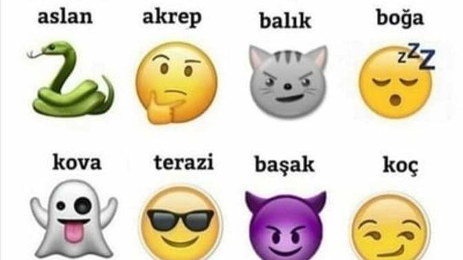 Burcuna göre hangi emojisin?
