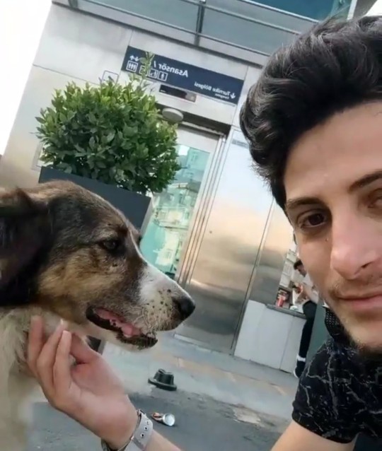 Sokak hayvanları ile aran nasıl?