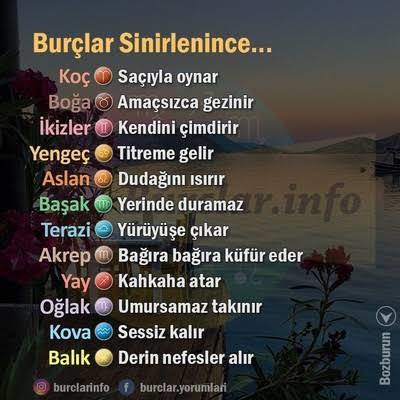 Burçlar sinirlenince... Senin burcun hangisi?