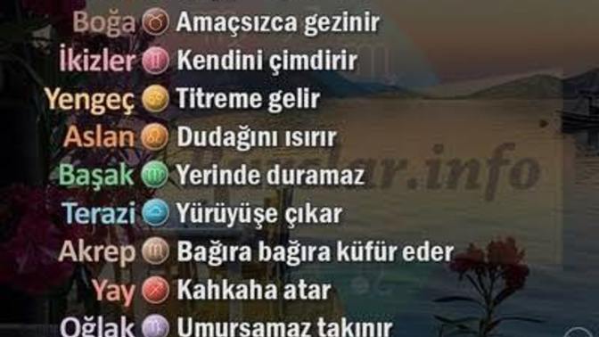 Burçlar sinirlenince... Senin burcun hangisi?