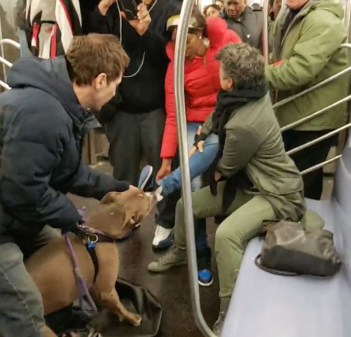 Sokak köpekleri neden hep kadınları kovalıyor, özellikle mi seçiyorlar?
