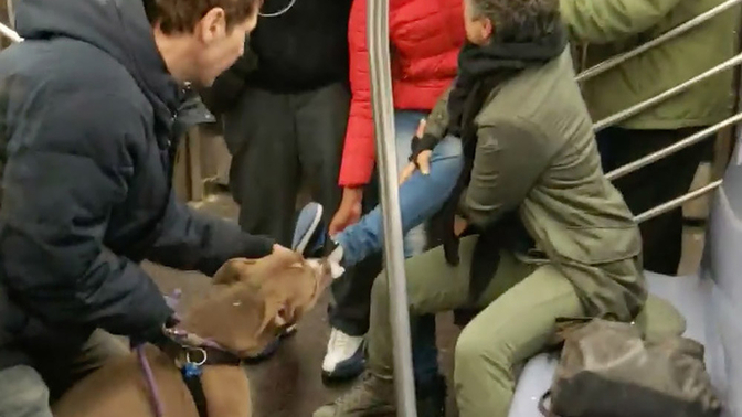 Sokak köpekleri neden hep kadınları kovalıyor, özellikle mi seçiyorlar?