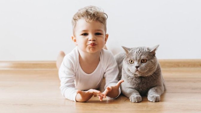 Bebek dünyaya geldiğinde ideal olarak kaç kilo olmalı?