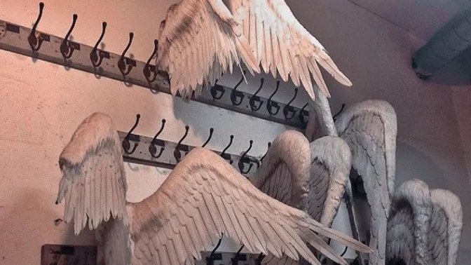 Kanatlarınızın olmasını ister miydiniz?