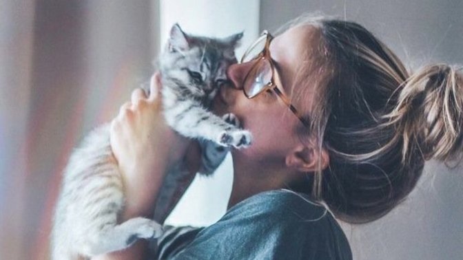 Kedi fobim var ama yenmek istiyorum. Ne yapabilirim?