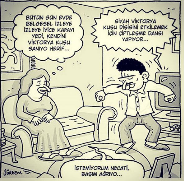 Ne Tür Belgeseller İzliyorsunuz?