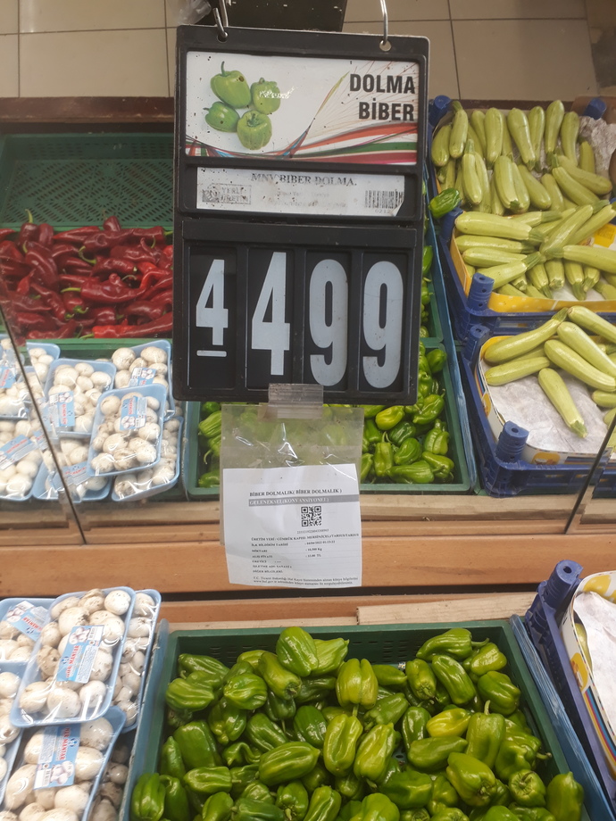 1 kilo dolmalık biber 45 lira olmuş, buna kim dur diyecek?