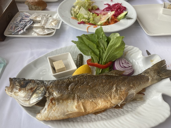 Hayvan dostlarımızın fotoğrafını paylaşır mısın?