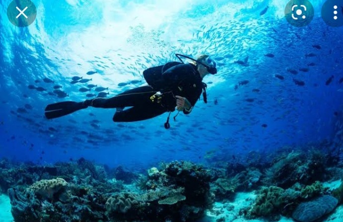 Scuba dalış sporu yapan var mı?