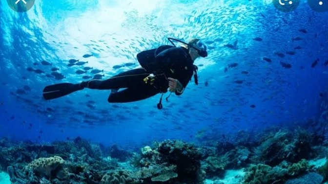 Scuba dalış sporu yapan var mı?
