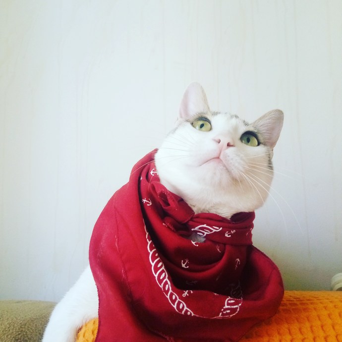 Hiç yarım kaldığınız oldu mu?