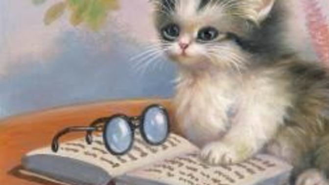 Kitap okuyamama sorunu nasıl aşılır?