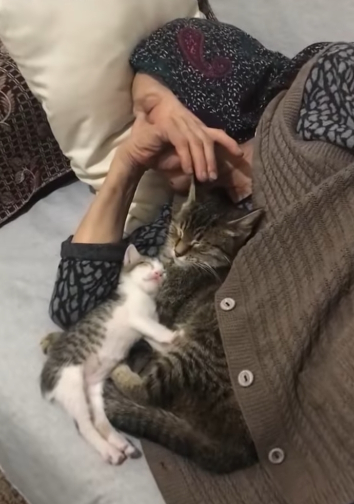 Size göre huzur nedir?