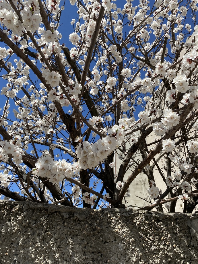 Eskişehire kar yağıyor, sizin orada hava ne durumda?