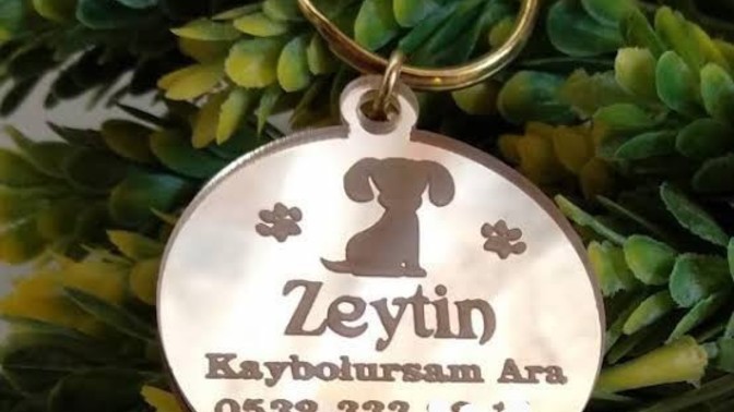 Evcil hayvanlarınızın kaybolunca daha rahat bulunabilmesi için isim künyesi takıyor musunuz?
