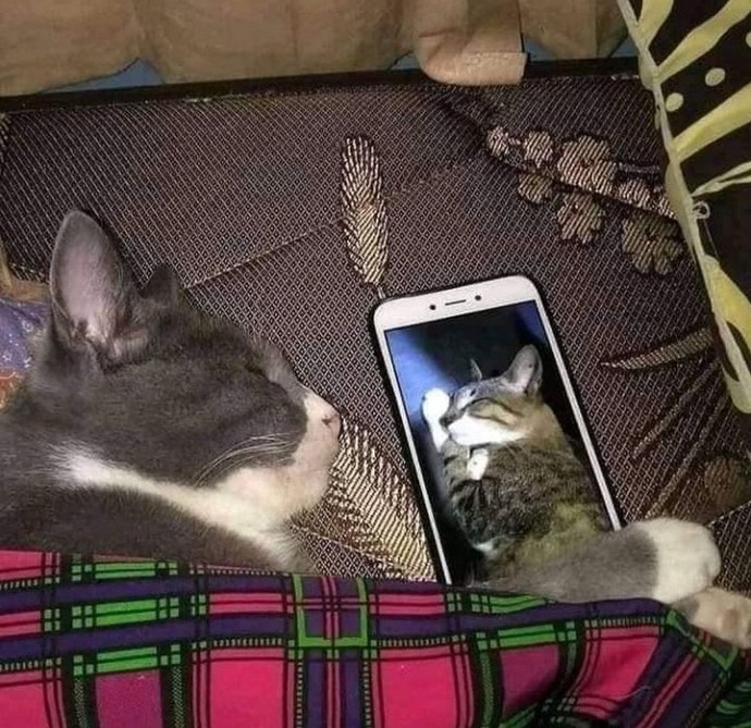 Fotoğrafını öpüp yattığınız birisi var mı?