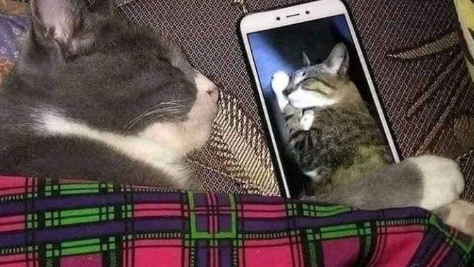 Fotoğrafını öpüp yattığınız birisi var mı?