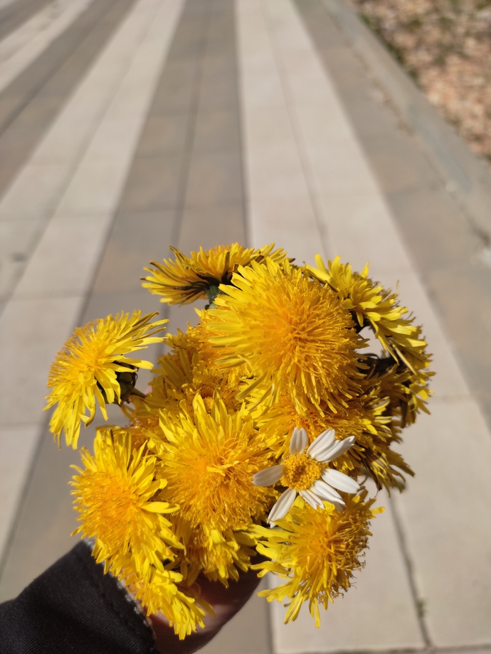 Günümün en anlamlı hediyesi🥰 Size hiç çiçek hediye edildi mi veya ettiniz mi?