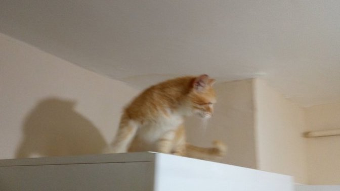 Buraya nasıl rahat çıkıyor?