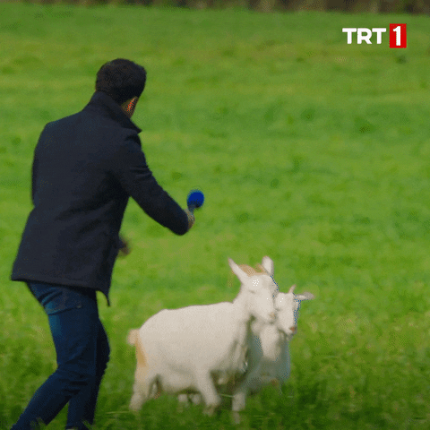 İşinize gelmeyen sorulardan kaçma taktiğiniz nelerdir?