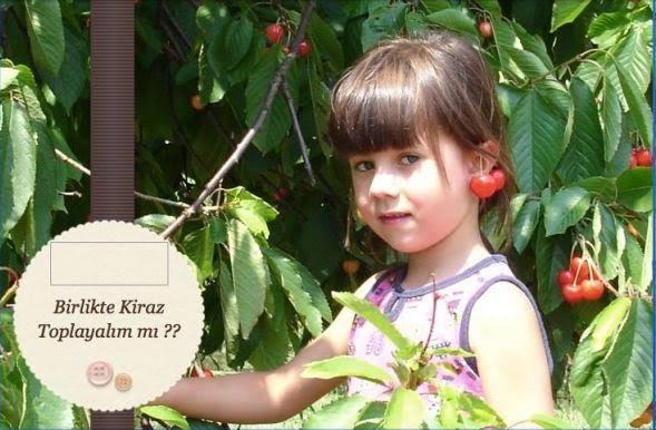 Dalından yemeyi sevdiğiniz meyve var mı?