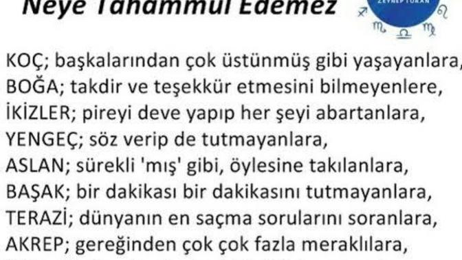 Hangi burç neye tahammül edemez? Senin burcun hangisi?