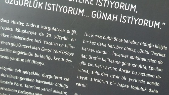 Bu hayatta ne aradığınızı biliyor musunuz?