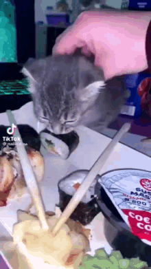 Suşi sever misiniz, denediniz mi daha önce?