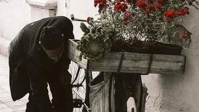 Sizce dünya nasıl tamir olur?