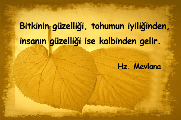 Kalp güzelliği yüze vurduğuna göre, yüzü güzel herkes melek mi?